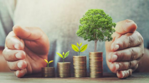 a person cupping some pennies with trees growing from them with their hands