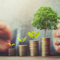 a person cupping some pennies with trees growing from them with their hands